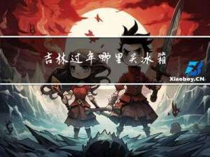 吉林过年哪里买冰箱