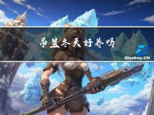 吊兰冬天好养吗