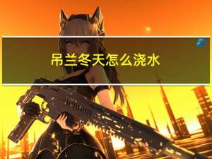 吊兰冬天怎么浇水