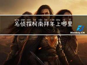 名侦探柯南拜年上哪里看