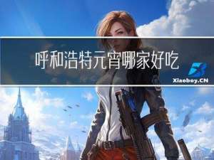 呼和浩特元宵哪家好吃一点