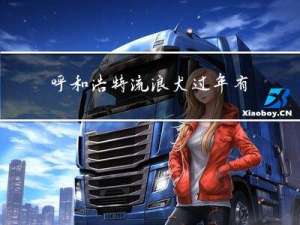 呼和浩特流浪犬过年有几只