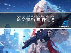 命令执行漏洞概述