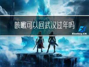 咳嗽可以回武汉过年吗吗