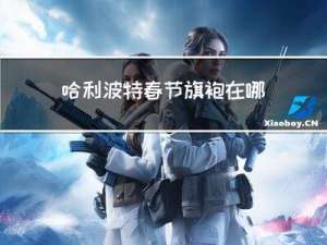 哈利波特春节旗袍在哪买