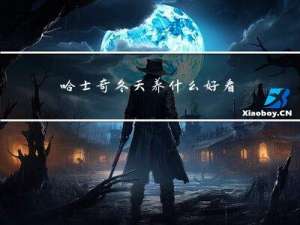 哈士奇冬天养什么好看