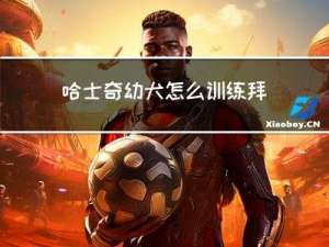 哈士奇幼犬怎么训练拜年