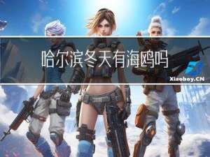 哈尔滨冬天有海鸥吗