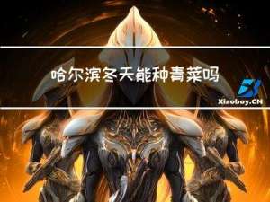 哈尔滨冬天能种青菜吗