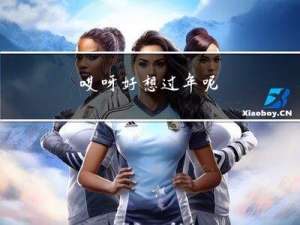 哎呀好想过年呢
