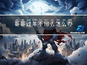哥哥过年不回去怎么办作文