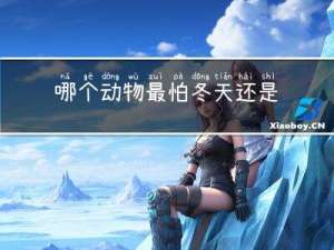 哪个动物最怕冬天还是夏天