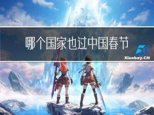 哪个国家也过中国春节了
