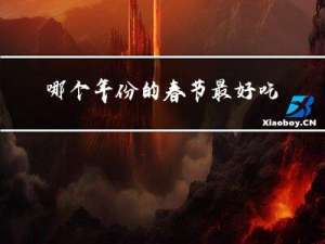 哪个年份的春节最好吃