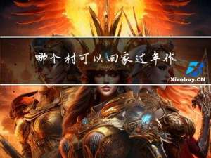 哪个村可以回家过年作文