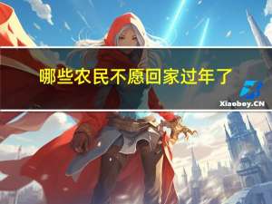 哪些农民不愿回家过年了