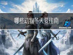 哪些动物冬天要往南