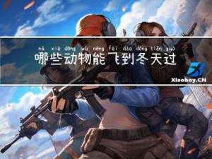 哪些动物能飞到冬天过冬天