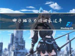 哪些地区不得回家过年