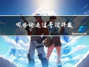 哪些快递过年没停发