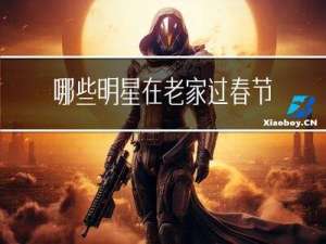 哪些明星在老家过春节