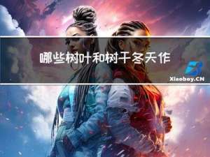 哪些树叶和树干冬天作伴