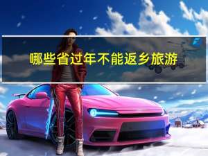 哪些省过年不能返乡旅游