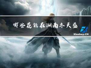 哪些花能在湖南冬天盛开