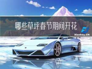 哪些草坪春节期间开花