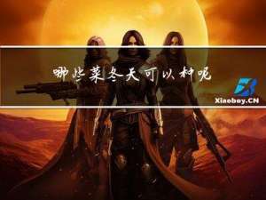 哪些菜冬天可以种呢