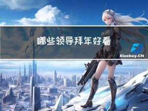 哪些领导拜年好看