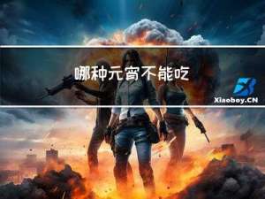 哪种元宵不能吃