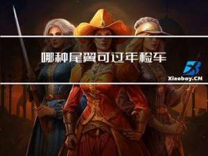 哪种尾翼可过年检车