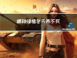 哪种绿植冬天养不死