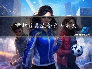 哪种蓝莓适合广西冬天