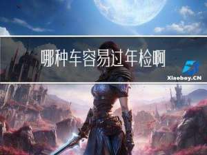 哪种车容易过年检啊