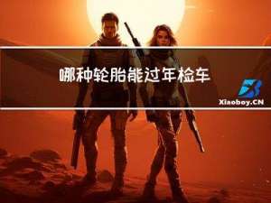 哪种轮胎能过年检车