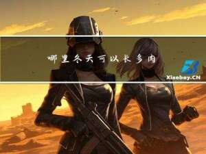 哪里冬天可以长多肉