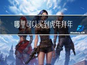 哪里可以买到虎年拜年装