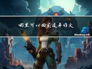 哪里可以回家过年作文