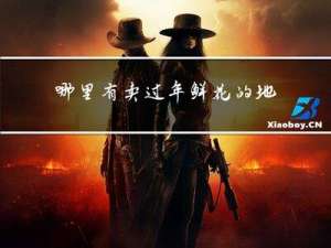 哪里有卖过年鲜花的地方