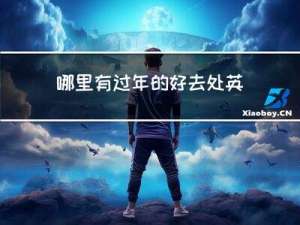 哪里有过年的好去处英文