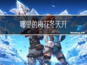 哪里的梅花冬天开