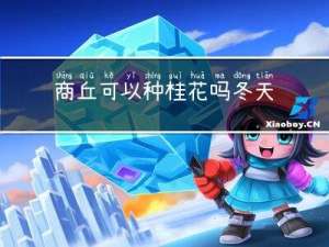 商丘可以种桂花吗冬天