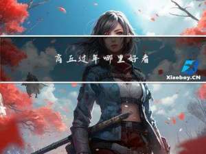 商丘过年哪里好看