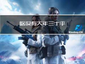 啥没有大年三十乎