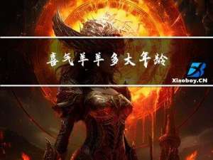 喜气羊羊多大年龄