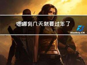 嗯哪有几天就要过年了