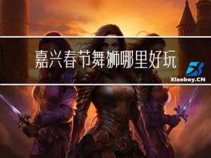 嘉兴春节舞狮哪里好玩