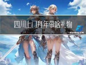 四川上门拜年带啥礼物